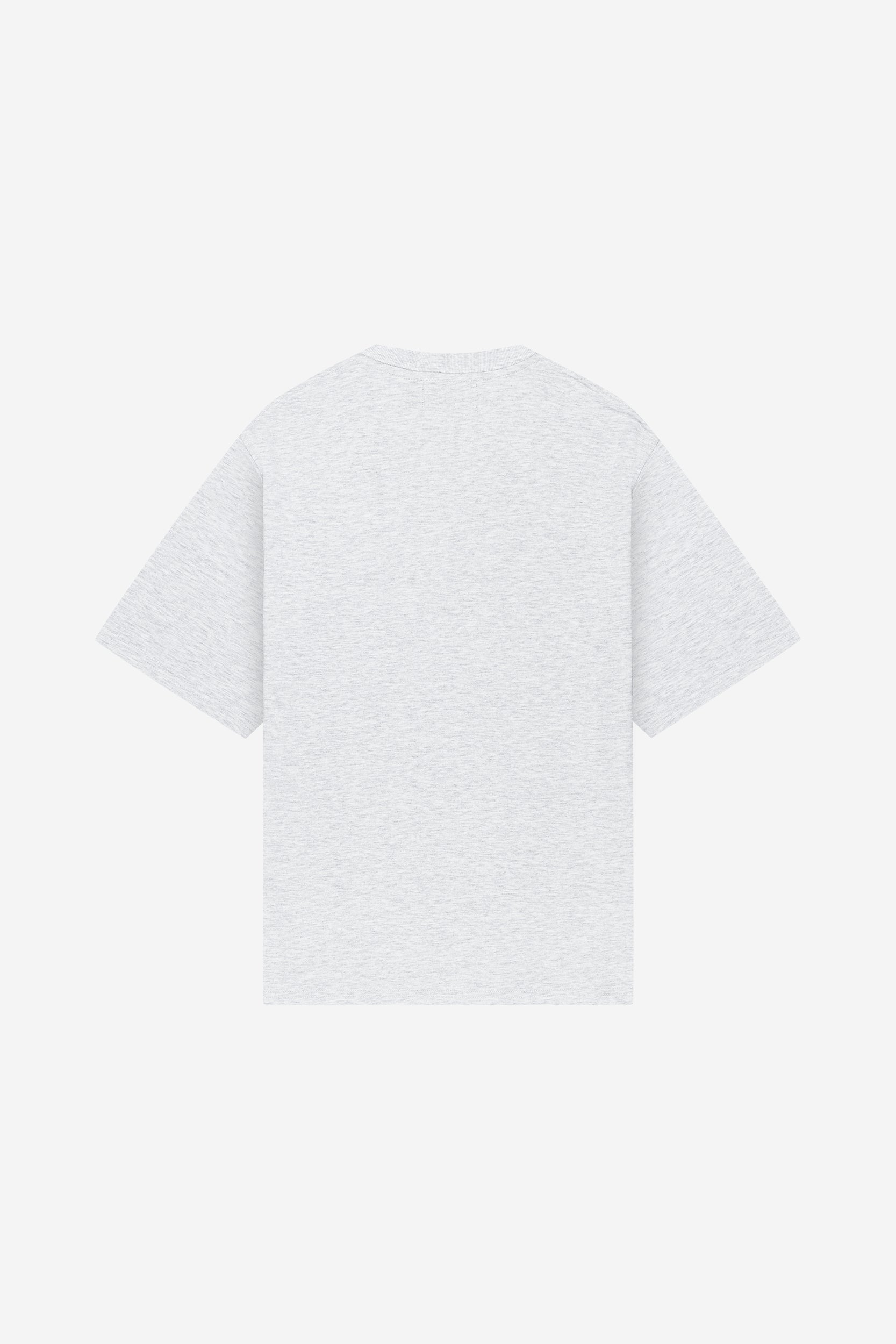 WET DREAM TEE GREY MELANGE